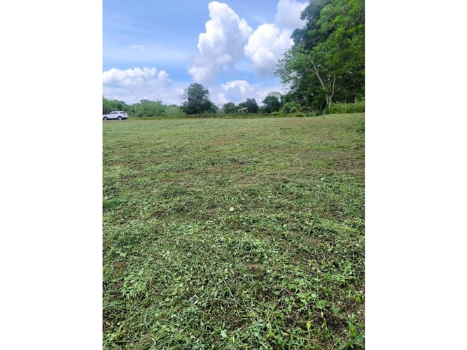 Lote en venta en Cerritos, Pereira, 7200 m² · foto 3 de 7