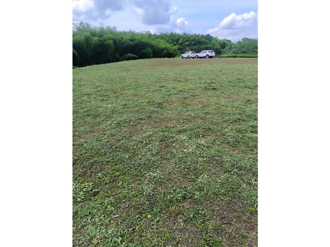 Lote en venta en Cerritos, Pereira, 7200 m² · foto 4 de 7