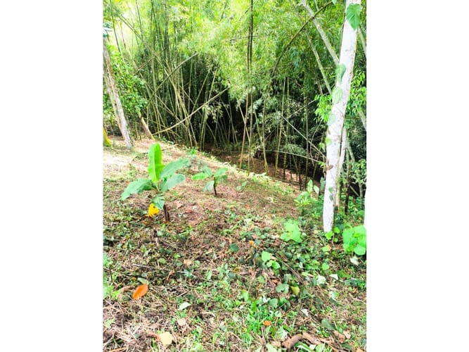 Lote en venta en Cerritos, Pereira, 7200 m² · foto 6 de 7