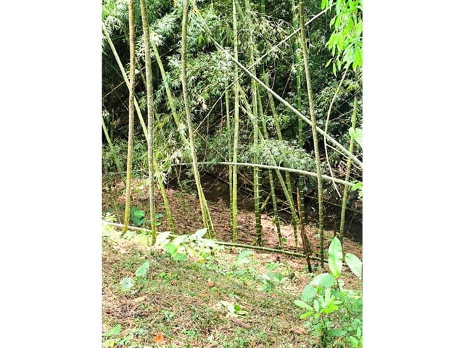 Lote en venta en Cerritos, Pereira, 7200 m² · foto 7 de 7