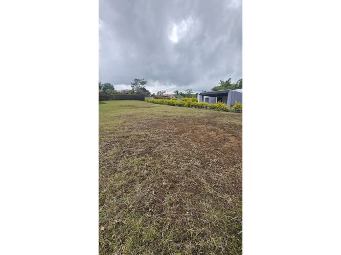Lote en venta en Tribunas Corcega, Pereira, 1800 m² · foto 3 de 10