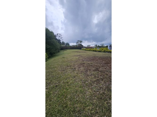 Lote en venta en Tribunas Corcega, Pereira, 1800 m² · foto 4 de 10