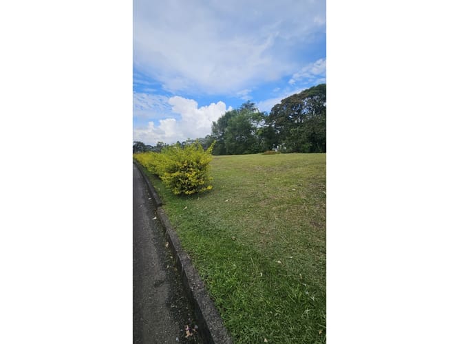 Lote en venta en Tribunas Corcega, Pereira, 1800 m² · foto 5 de 10
