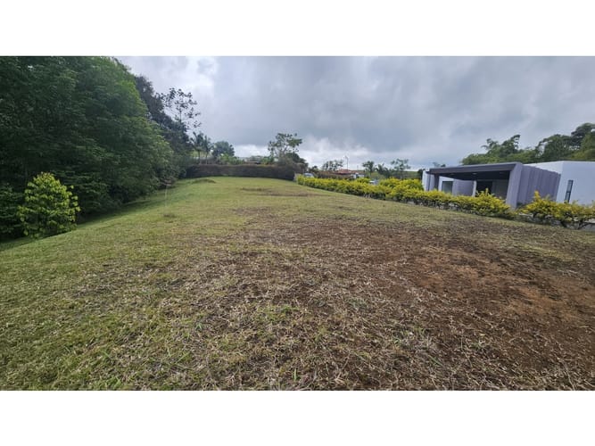 Lote en venta en Tribunas Corcega, Pereira, 1800 m² · foto 6 de 10