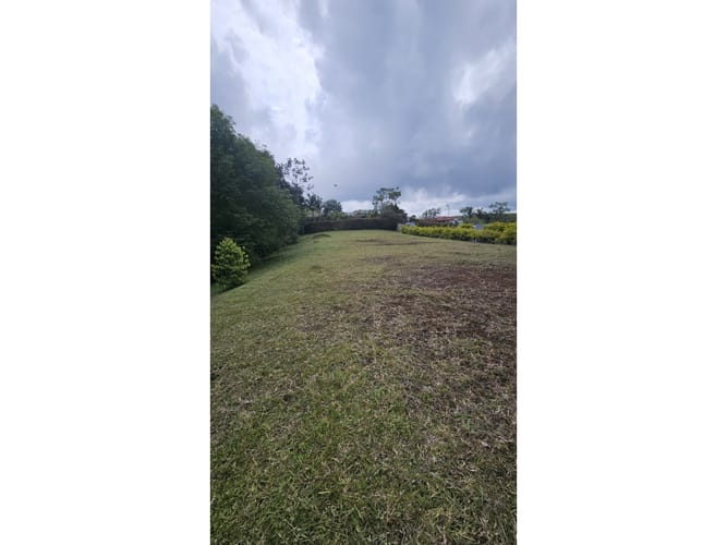 Lote en venta en Tribunas Corcega, Pereira, 1800 m² · foto 7 de 10