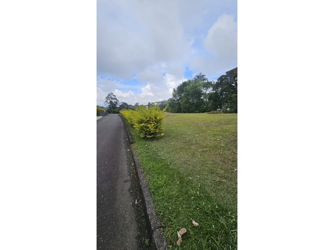 Lote en venta en Tribunas Corcega, Pereira, 1800 m² · foto 9 de 10