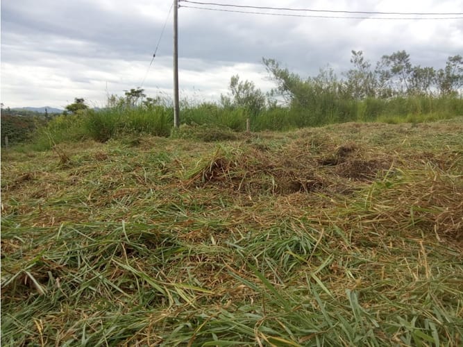Lote en venta en Morelia, Pereira, 1200 m² · foto 5 de 9