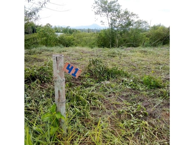 Lote en venta en Morelia, Pereira, 1200 m² · foto 7 de 9