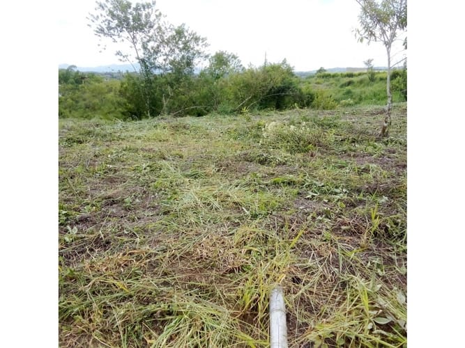 Lote en venta en Morelia, Pereira, 1200 m² · foto 8 de 9