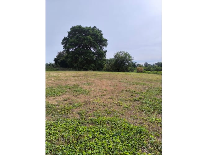 Lote en venta en Cerritos, Pereira, 2000 m² · foto 2 de 5