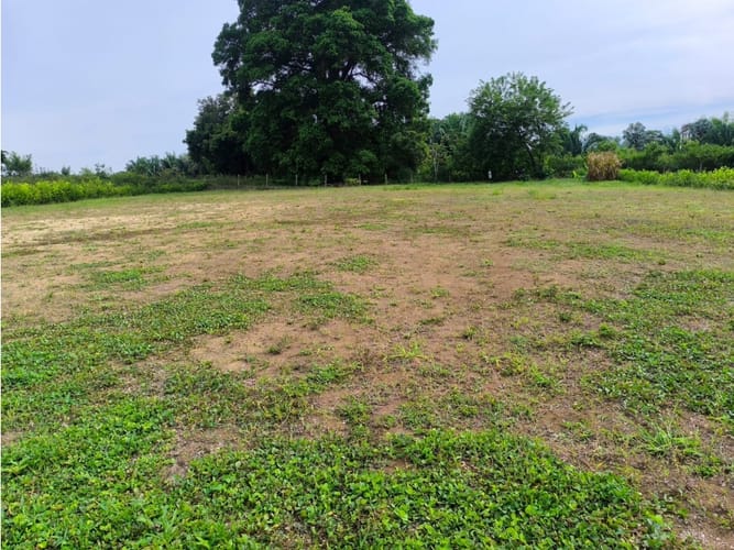 Lote en venta en Cerritos, Pereira, 2000 m² · foto 3 de 5