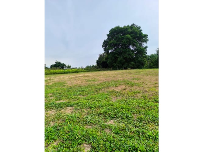 Lote en venta en Cerritos, Pereira, 2000 m² · foto 4 de 5