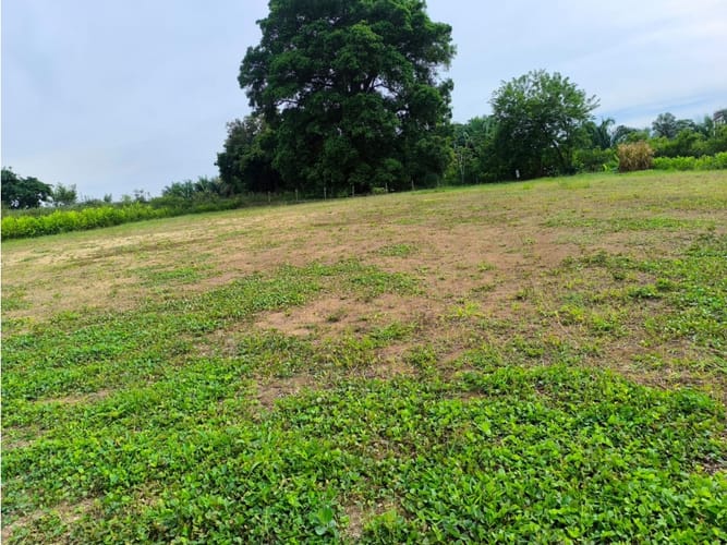 Lote en venta en Cerritos, Pereira, 2000 m² · foto 5 de 5