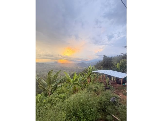 Finca en venta en Combia Baja, Pereira, 76800 m² · foto 5 de 24