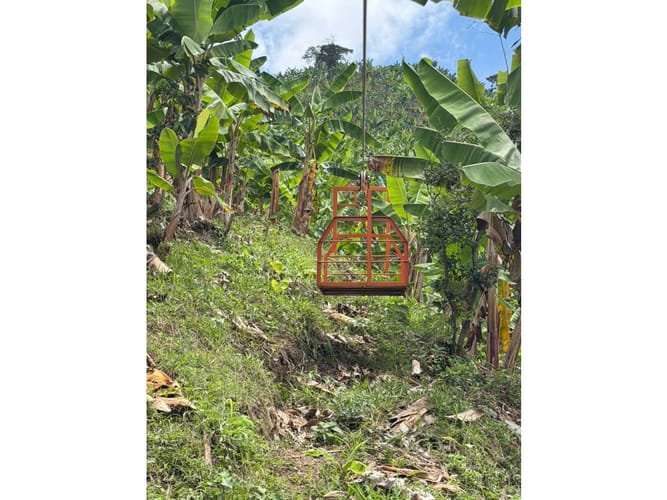 Finca en venta en Combia Baja, Pereira, 76800 m² · foto 11 de 24