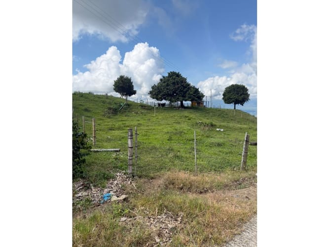 Finca en venta en Combia Baja, Pereira, 76800 m² · foto 13 de 24