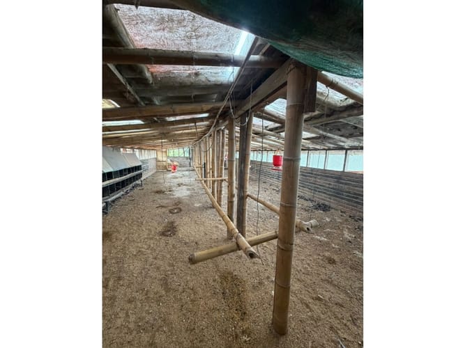 Finca en venta en Combia Baja, Pereira, 76800 m² · foto 16 de 24