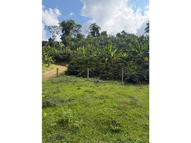 Finca en venta en Combia Baja, Pereira, 76800 m² · foto 20 de 24