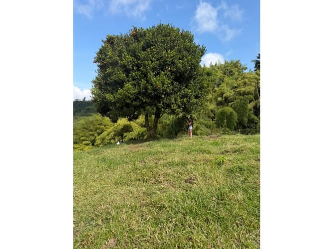 Finca en venta en Combia Baja, Pereira, 76800 m² · foto 21 de 24
