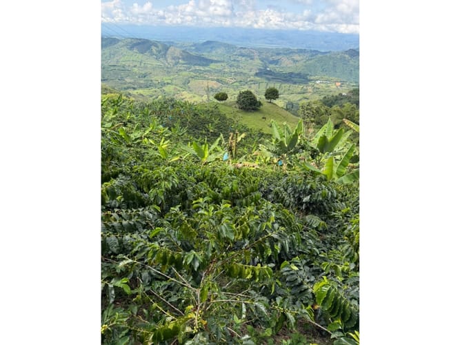 Finca en venta en Combia Baja, Pereira, 76800 m² · foto 24 de 24