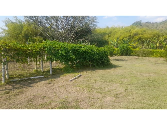 Lote en venta en Combia, Pereira, 3868 m² · foto 3 de 17