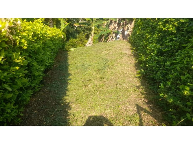 Lote en venta en Combia, Pereira, 3868 m² · foto 4 de 17