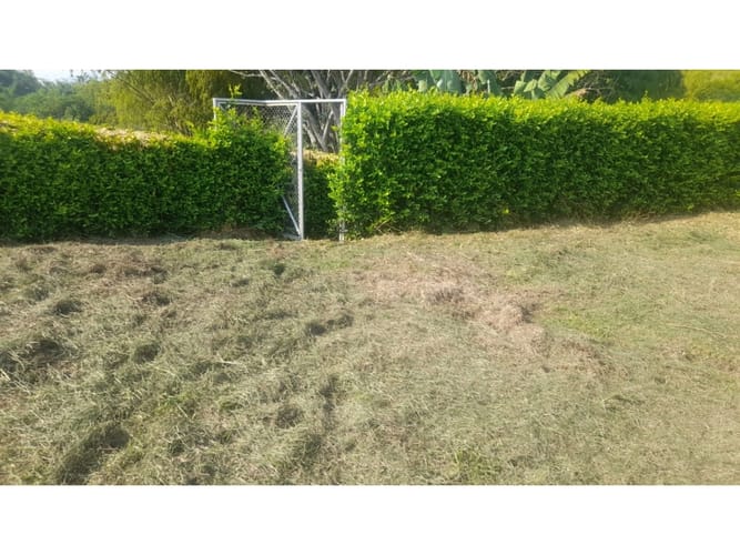 Lote en venta en Combia, Pereira, 3868 m² · foto 5 de 17