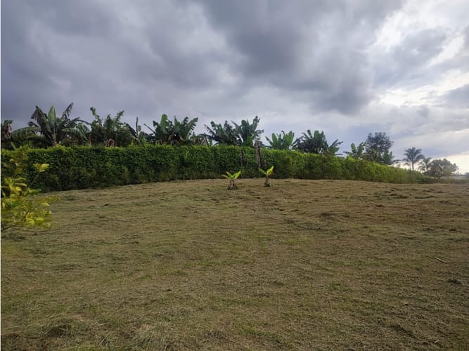 Lote en venta en Combia, Pereira, 3868 m² · foto 13 de 17