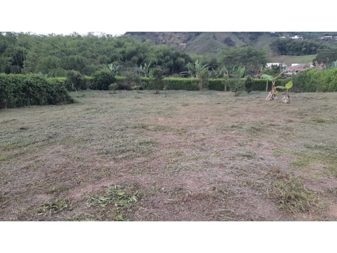 Lote en venta en Combia, Pereira, 3868 m² · foto 15 de 17