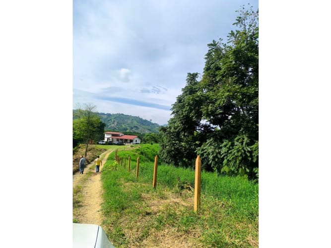 Finca en venta en Combia, Pereira, 19000 m² · foto 2 de 18