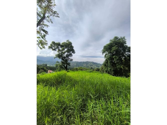 Finca en venta en Combia, Pereira, 19000 m² · foto 3 de 18