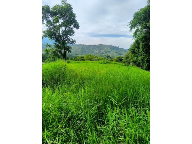 Finca en venta en Combia, Pereira, 19000 m² · foto 6 de 18