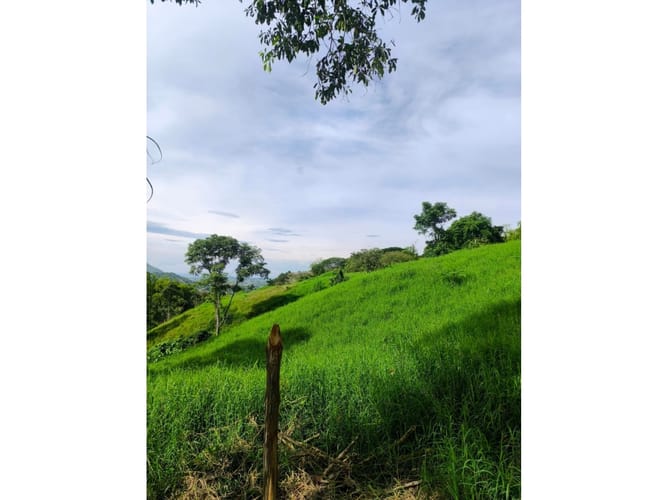 Finca en venta en Combia, Pereira, 19000 m² · foto 8 de 18