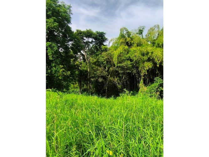 Finca en venta en Combia, Pereira, 19000 m² · foto 9 de 18