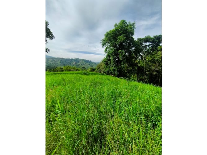 Finca en venta en Combia, Pereira, 19000 m² · foto 10 de 18