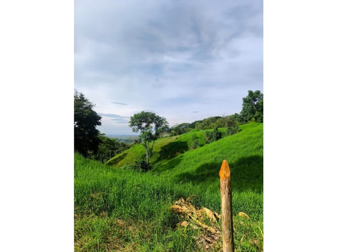 Finca en venta en Combia, Pereira, 19000 m² · foto 13 de 18