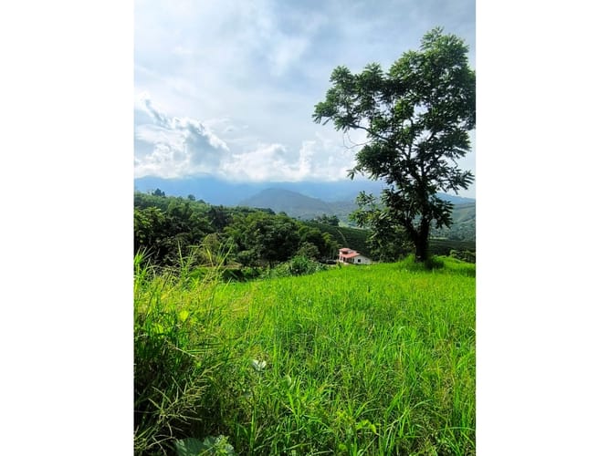 Finca en venta en Combia, Pereira, 19000 m² · foto 15 de 18