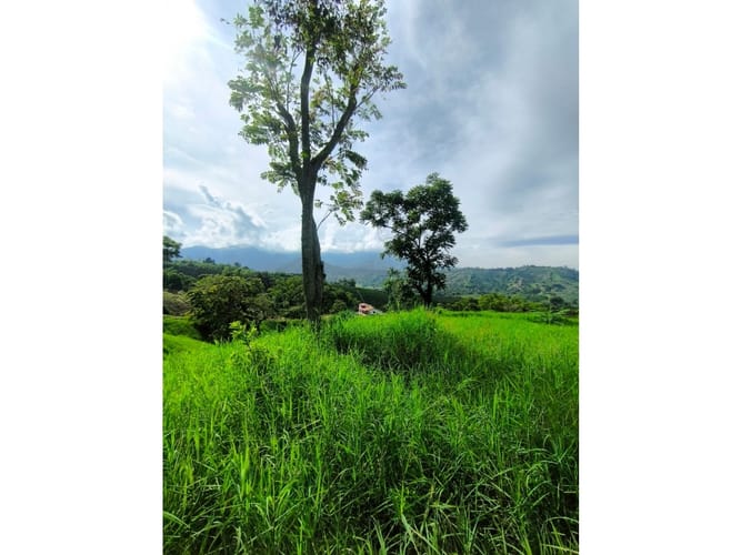 Finca en venta en Combia, Pereira, 19000 m² · foto 16 de 18
