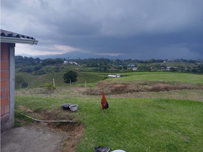 Finca en venta en Tribunas Corcega, Pereira, 340 m² · foto 11 de 21