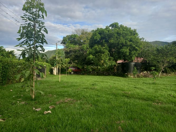Finca en venta en Carmen De Bulira, Ibagué, 7985 m² · foto 21 de 24
