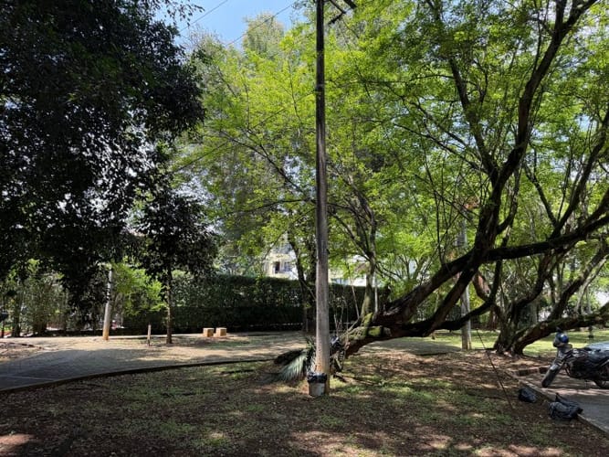 Apartamento de 3 alcobas en venta en El Ingenio, Cali, 90 m² · foto 2 de 14