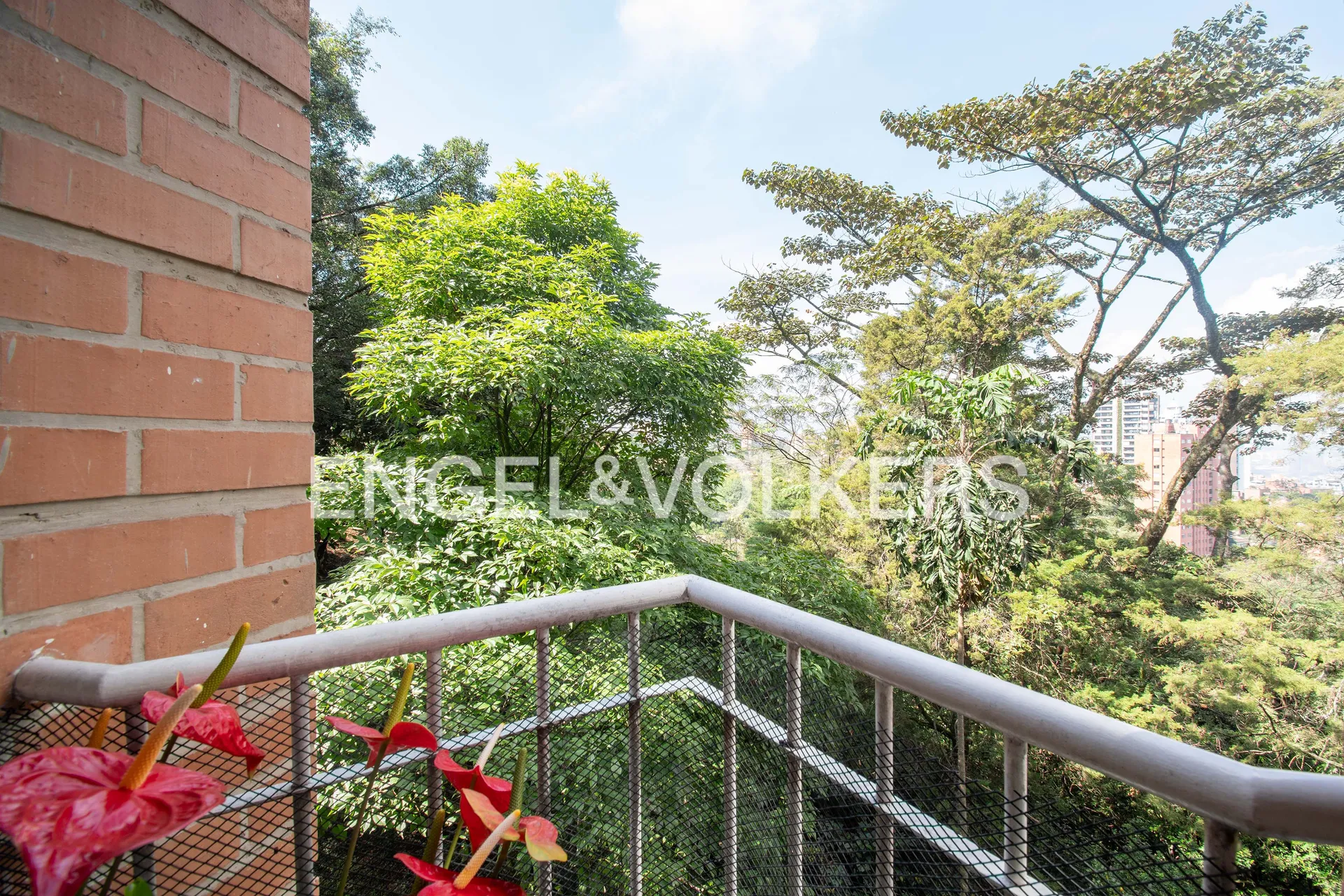 Apartamento en venta en Los Balsos, Medellín · foto 4 de 10