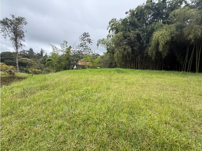 Lote en venta en Morelia, Pereira, 2518 m² · foto 3 de 9