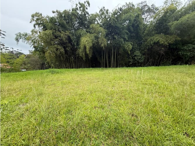 Lote en venta en Morelia, Pereira, 2518 m² · foto 4 de 9