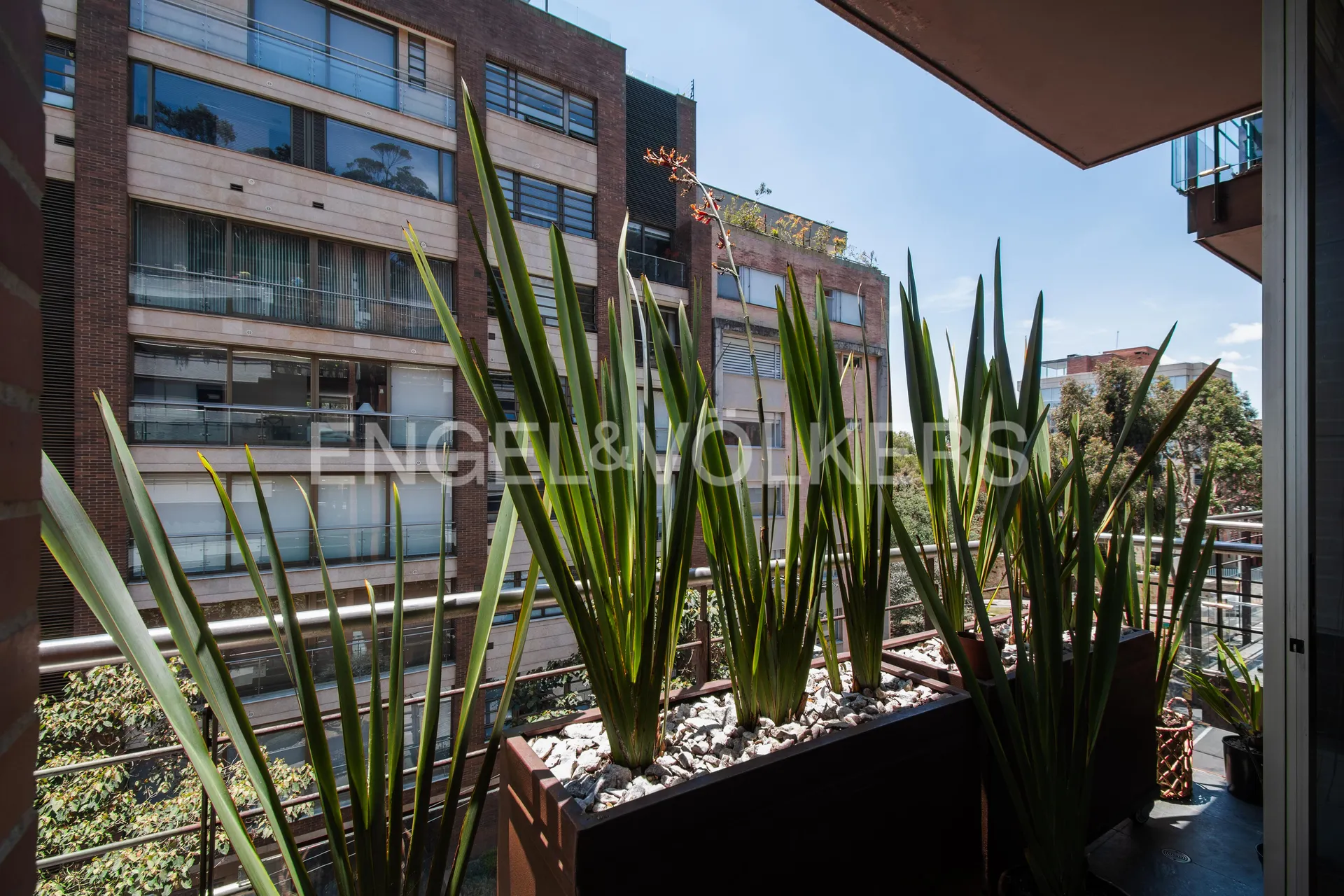 Apartamento en venta en Los Rosales, Bogotá · foto 6 de 21