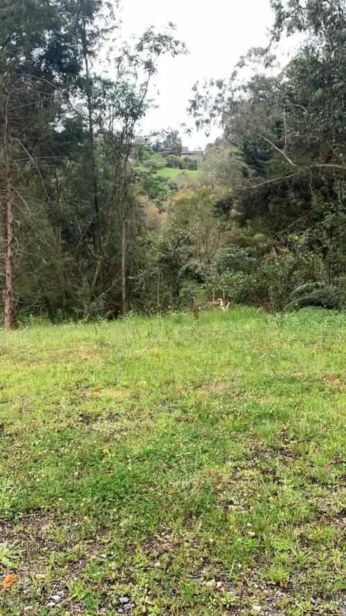 Lote en venta en Vía Las Palmas, Envigado, 1696 m² · foto 4 de 8