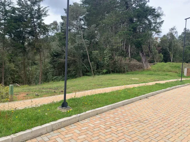 Lote en venta en Vía Las Palmas, Envigado, 1696 m² · foto 6 de 8