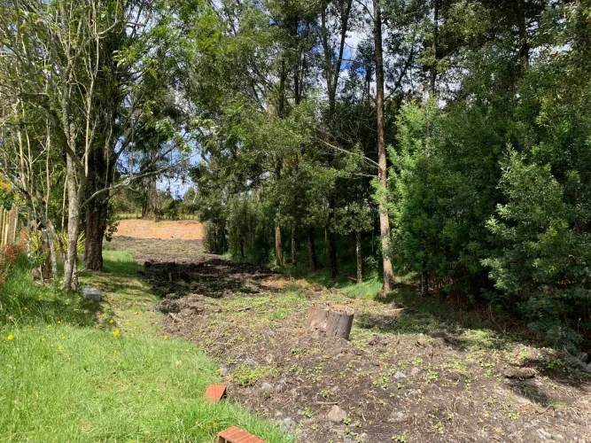 Lote en venta en Vía Las Palmas, Envigado, 1696 m² · foto 7 de 8