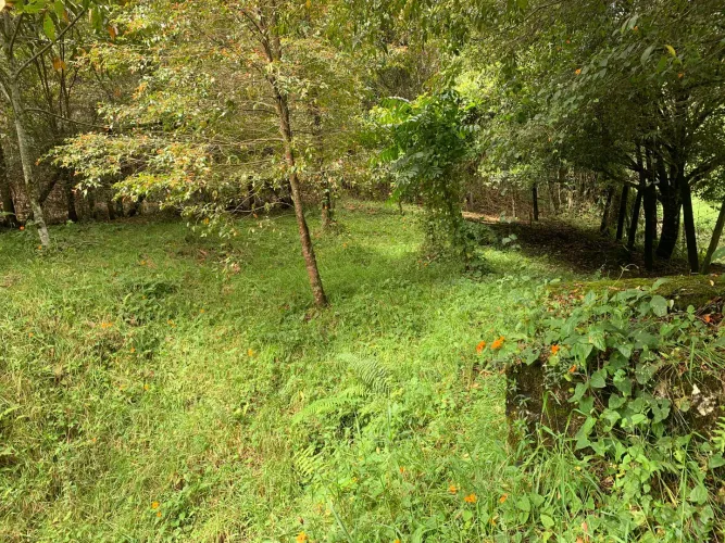 Lote en venta en Vía Las Palmas, Envigado, 1696 m² · foto 8 de 8