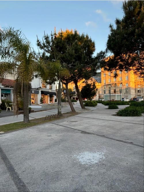 Local Comercial en Alquiler · Foto 4